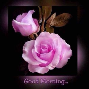 Meet your Posher, Ricky